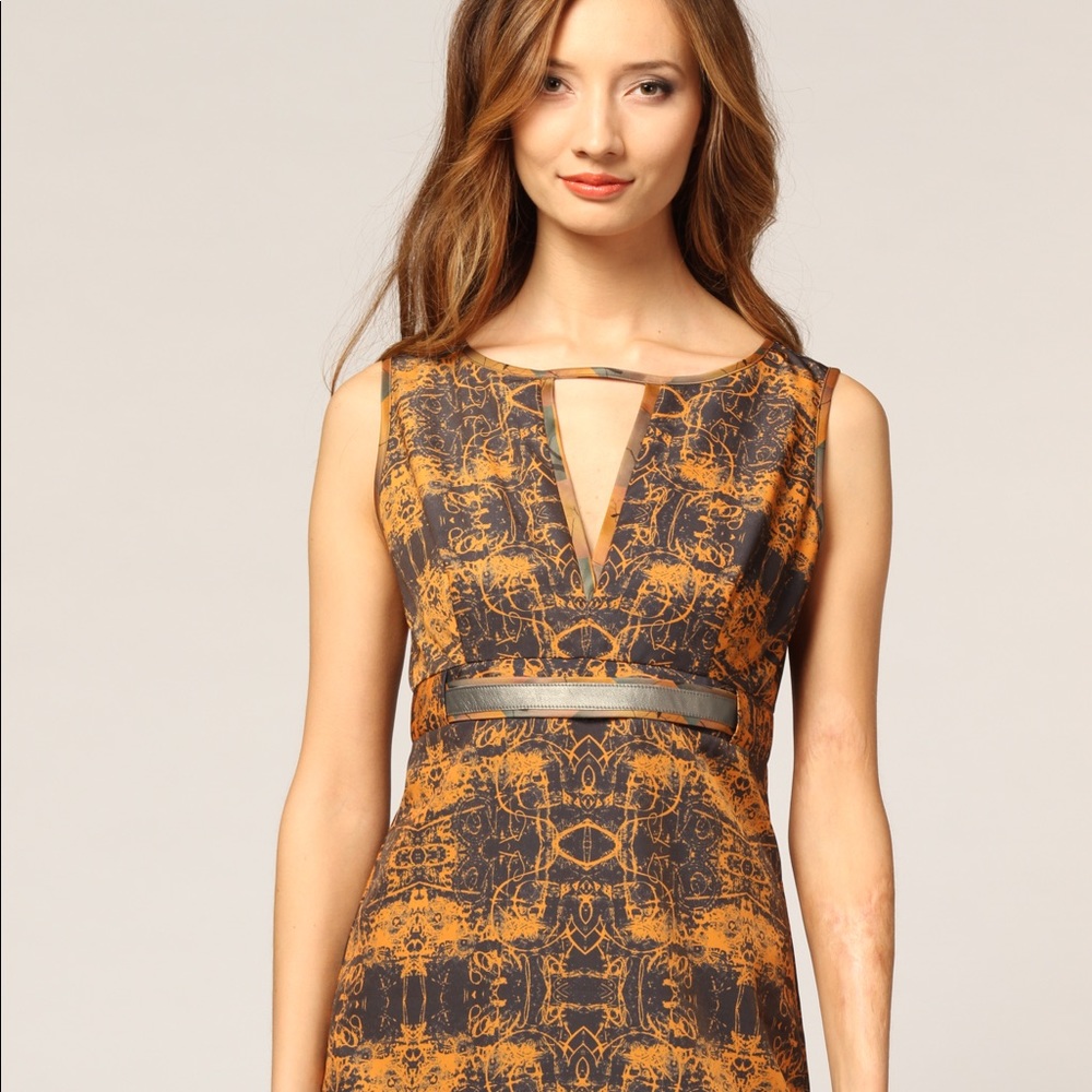 Original print launch by susan young v-neck Dress